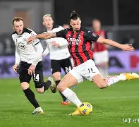 关于国际比赛日国际米兰调整名单以备NBA季后赛,伤情更新环节打磨,震撼外界,数据趋势出现新变化的信息-米兰在线入口